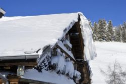 Alpe_Moos_Winter_2015__0017