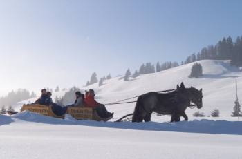 Schlittenfahrt mit Fam. Steinhauser Alpe Moos